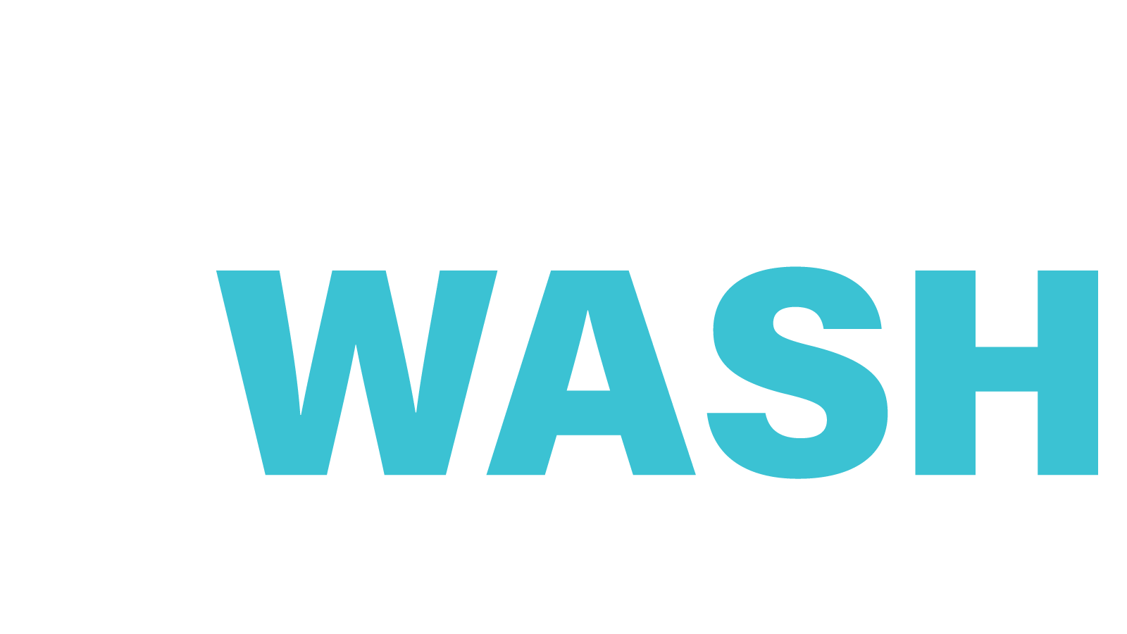 Rapid Wash - Logo - White